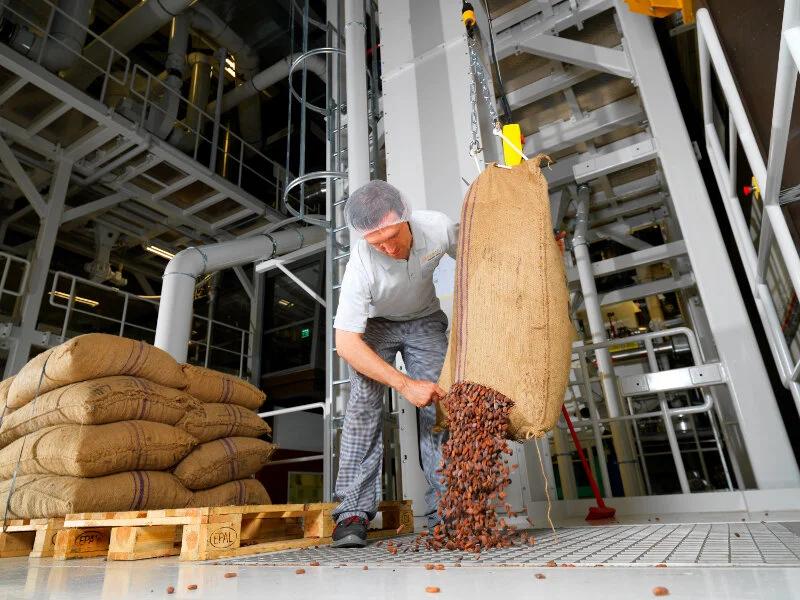 Cocoa Processing Group