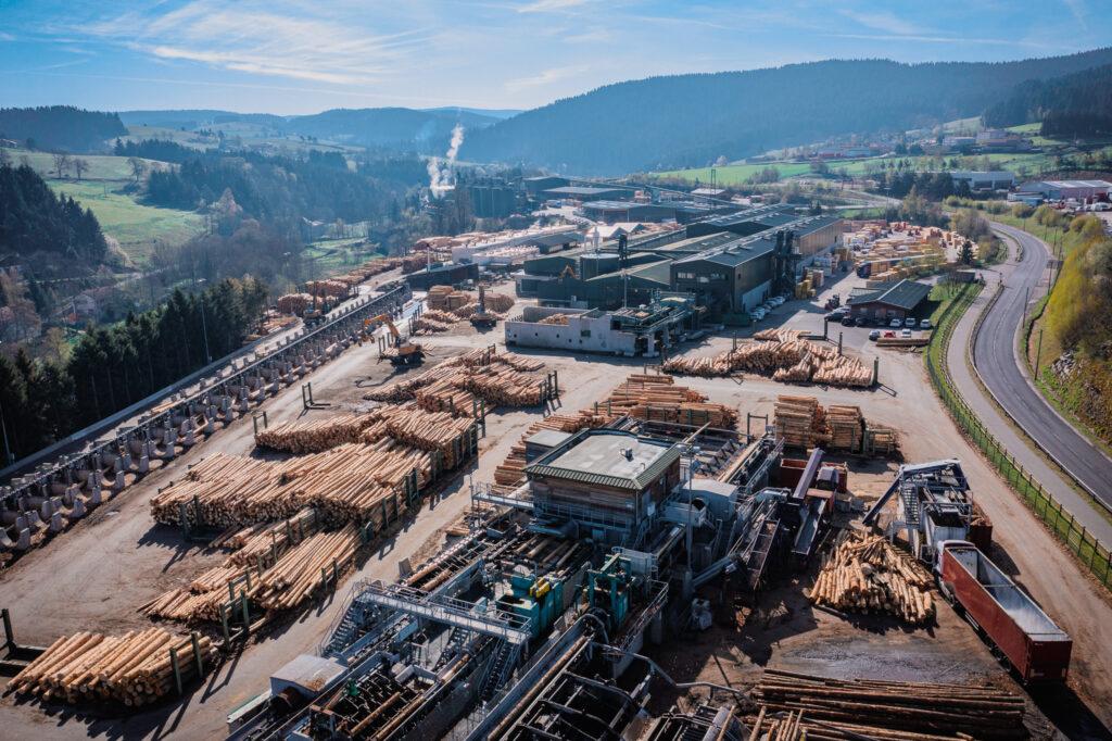 Agroforestry Timber Business